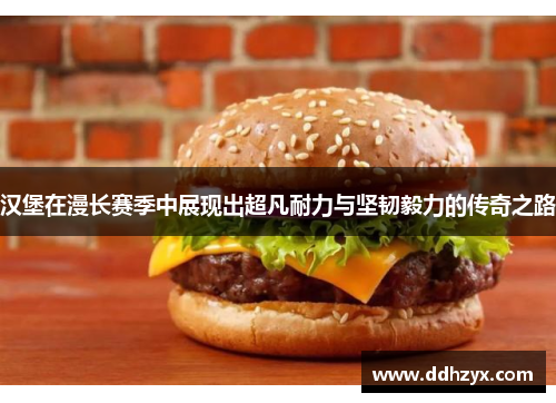汉堡在漫长赛季中展现出超凡耐力与坚韧毅力的传奇之路