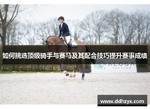 如何挑选顶级骑手与赛马及其配合技巧提升赛事成绩