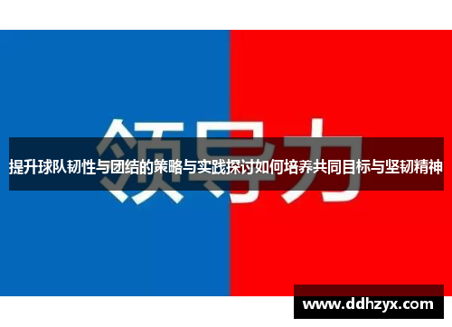 提升球队韧性与团结的策略与实践探讨如何培养共同目标与坚韧精神